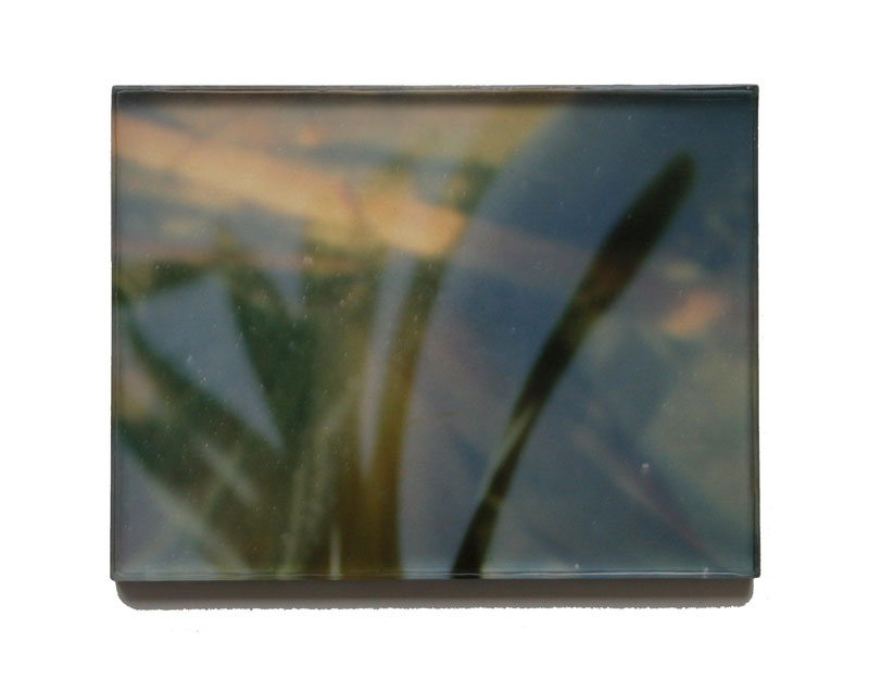 étangs 02