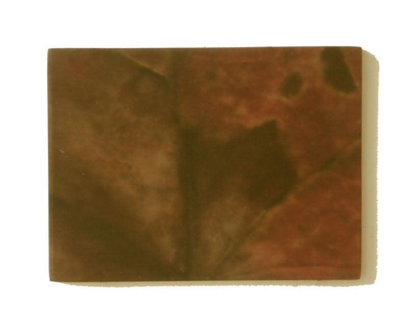 feuilles 02