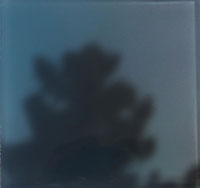l’arbre n°2