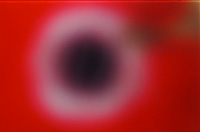 Anémone