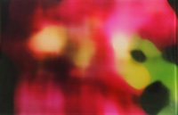 Pivoine n°3